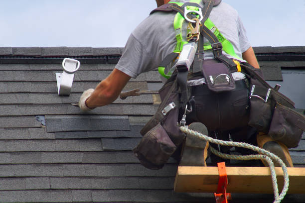 Best Roof Leak Repair  in Delmar, MD