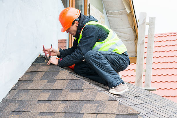Best Shingle Roofing Installation  in Delmar, MD